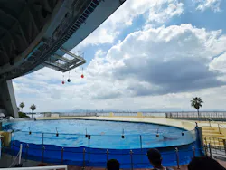 マリンワールド海の中道に投稿された画像(2026/7/20)