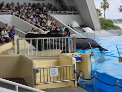 マリンワールド海の中道に投稿された画像(2026/7/20)