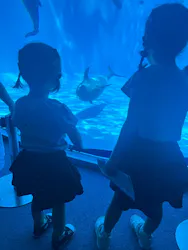 名古屋港水族館に投稿された画像(2026/7/20)