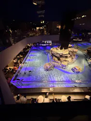すみだ水族館に投稿された画像(2026/7/20)