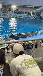 名古屋港水族館に投稿された画像(2026/7/20)