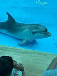 アクアワールド茨城県大洗水族館に投稿された画像(2026/7/20)
