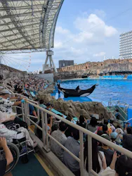 名古屋港水族館に投稿された画像(2026/7/20)