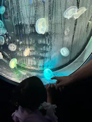 名古屋港水族館に投稿された画像(2026/7/20)