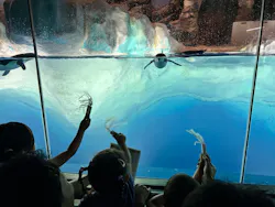 名古屋港水族館に投稿された画像(2026/7/20)