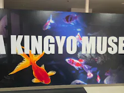 NARA KINGYO MUSEUMに投稿された画像(2026/7/20)
