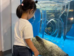のとじま水族館に投稿された画像(2026/7/20)