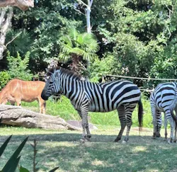 天王寺動物園に投稿された画像(2026/7/20)