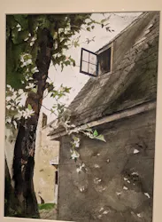 東京都美術館開館100周年記念 アンドリュー・ワイエス展に投稿された画像(2026/7/21)
