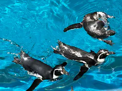 アクアワールド茨城県大洗水族館に投稿された画像(2026/7/21)