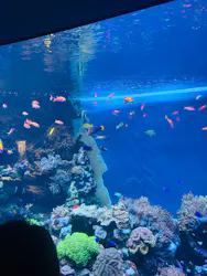 サンシャイン水族館に投稿された画像(2026/7/21)