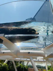 サンシャイン水族館に投稿された画像(2026/7/21)