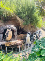 サンシャイン水族館に投稿された画像(2026/7/21)