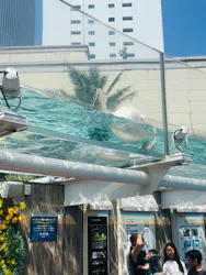 サンシャイン水族館に投稿された画像(2026/7/21)