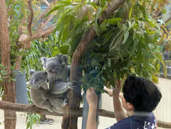 こども動物自然公園(埼玉県公園緑地協会)に投稿された画像(2026/7/21)