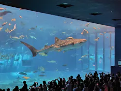 沖縄美ら海水族館に投稿された画像(2026/7/21)