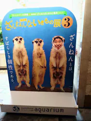 サンシャイン水族館に投稿された画像(2026/7/21)