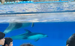 名古屋港水族館に投稿された画像(2026/7/22)