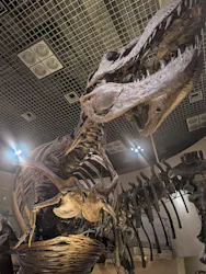 国立科学博物館に投稿された画像(2026/7/22)
