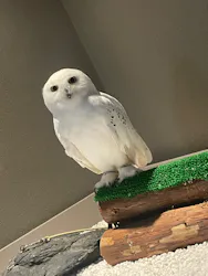 カワスイ 川崎⽔族館に投稿された画像(2026/7/22)