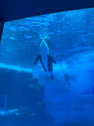 名古屋港水族館に投稿された画像(2026/7/22)