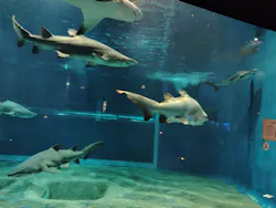 アクアワールド茨城県大洗水族館に投稿された画像(2026/7/22)
