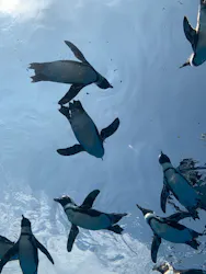 サンシャイン水族館に投稿された画像(2026/7/22)