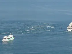 徳島県立 渦の道に投稿された画像(2026/7/22)