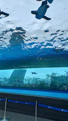サンシャイン水族館に投稿された画像(2026/7/22)