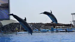 名古屋港水族館に投稿された画像(2026/7/22)