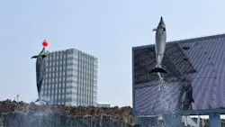 名古屋港水族館に投稿された画像(2026/7/22)