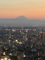 東京タワーに投稿された画像(2026/7/23)