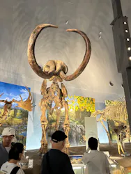 福井県立恐竜博物館に投稿された画像(2026/7/24)