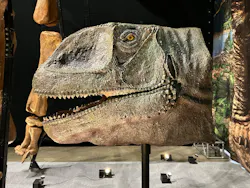 福井県立恐竜博物館に投稿された画像(2026/7/24)