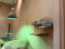 こども動物自然公園(埼玉県公園緑地協会)に投稿された画像(2026/7/24)