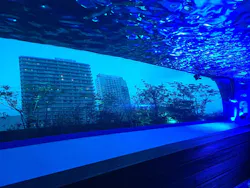 サンシャイン水族館に投稿された画像(2026/7/24)
