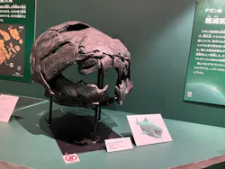 特別展 大絶滅展に投稿された画像(2026/7/24)