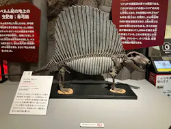 特別展 大絶滅展に投稿された画像(2026/7/24)