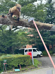 那須ハイランドパークに投稿された画像(2026/7/24)