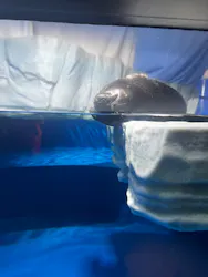 サンシャイン水族館に投稿された画像(2026/7/24)