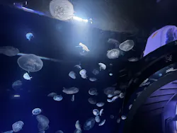 サンシャイン水族館に投稿された画像(2026/7/24)