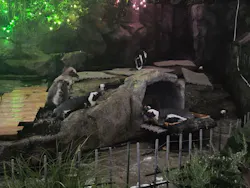 サンシャイン水族館に投稿された画像(2026/7/24)