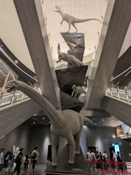 福井県立恐竜博物館に投稿された画像(2026/7/24)