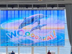 アクアワールド茨城県大洗水族館に投稿された画像(2026/7/25)