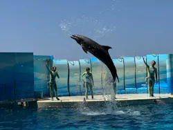 新江ノ島水族館に投稿された画像(2026/7/25)