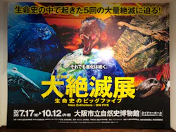 特別展 大絶滅展に投稿された画像(2026/7/25)