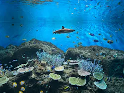 アクアワールド茨城県大洗水族館に投稿された画像(2026/7/25)