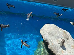 アクアワールド茨城県大洗水族館に投稿された画像(2026/7/25)