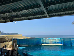 新江ノ島水族館に投稿された画像(2026/7/25)