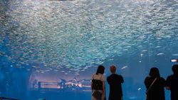名古屋港水族館に投稿された画像(2026/7/25)